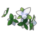 Vương Miện Hoa